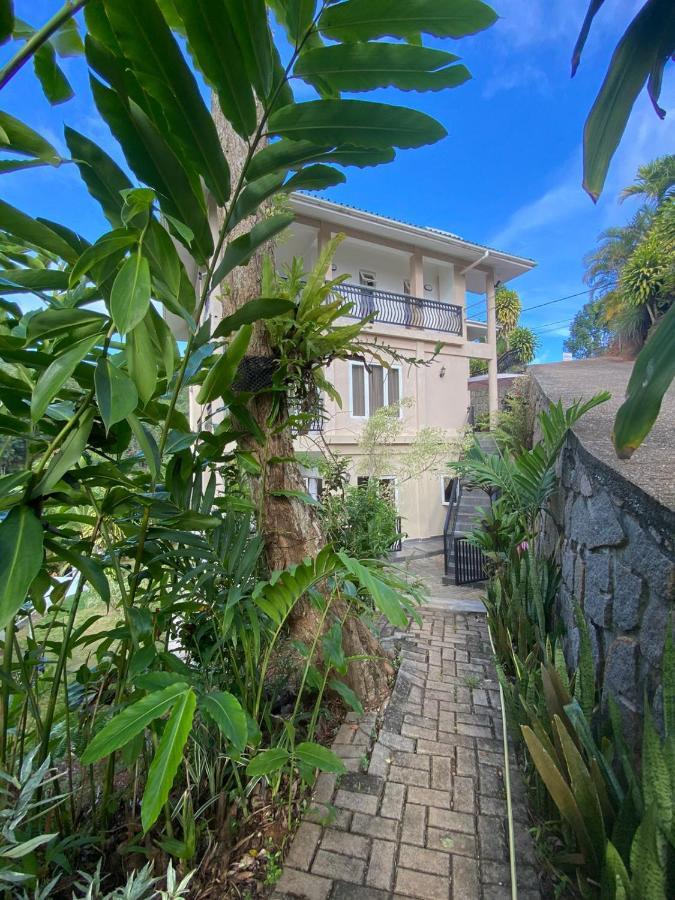 South Hill Villa Anse Royale Exterior photo